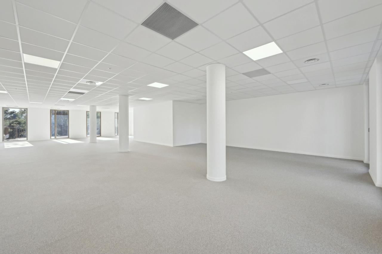 Bureau Sophia Antipolis 9093m² Location bureau Sophia Antipolis Alpes-Maritimes OLBUR2115917 12